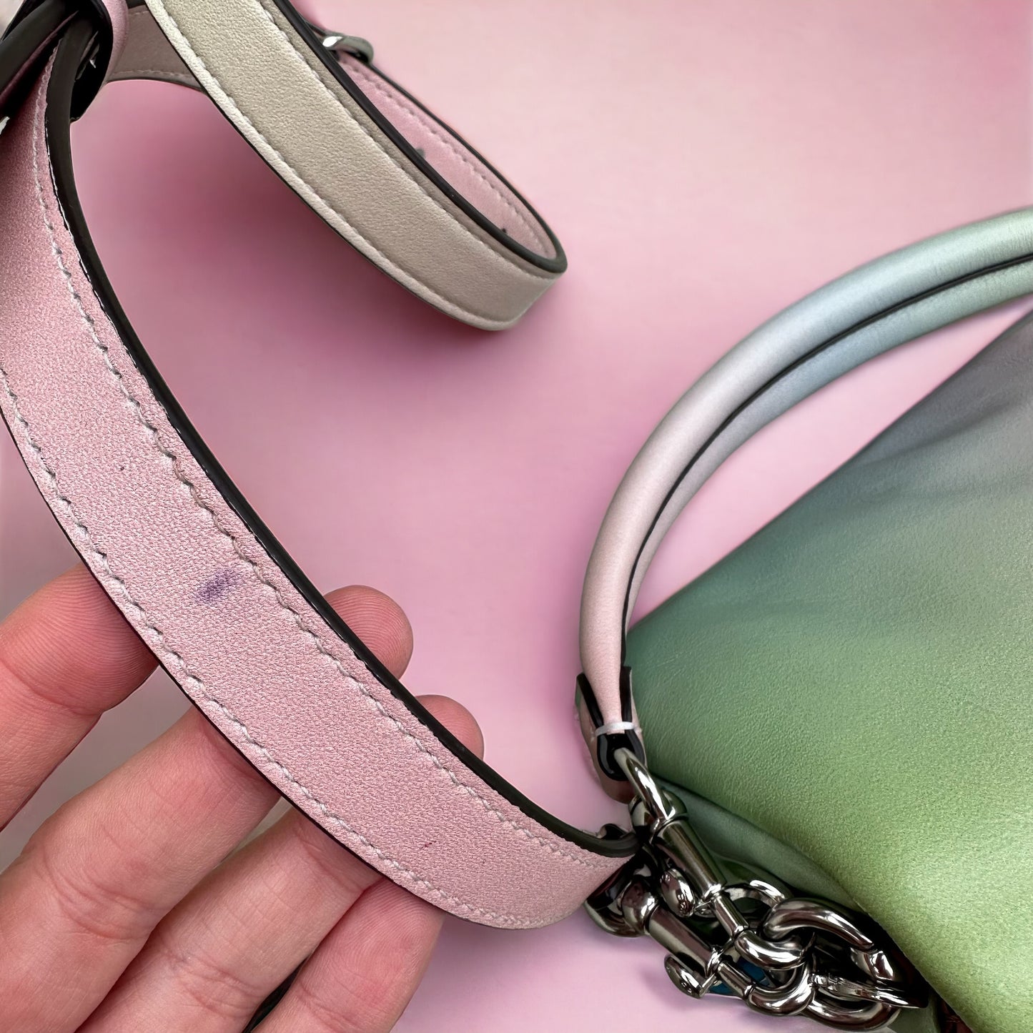 painted coach purse
